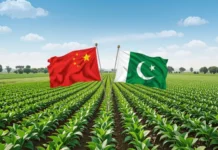Pakistan and China to form technical groups for agricultural projects