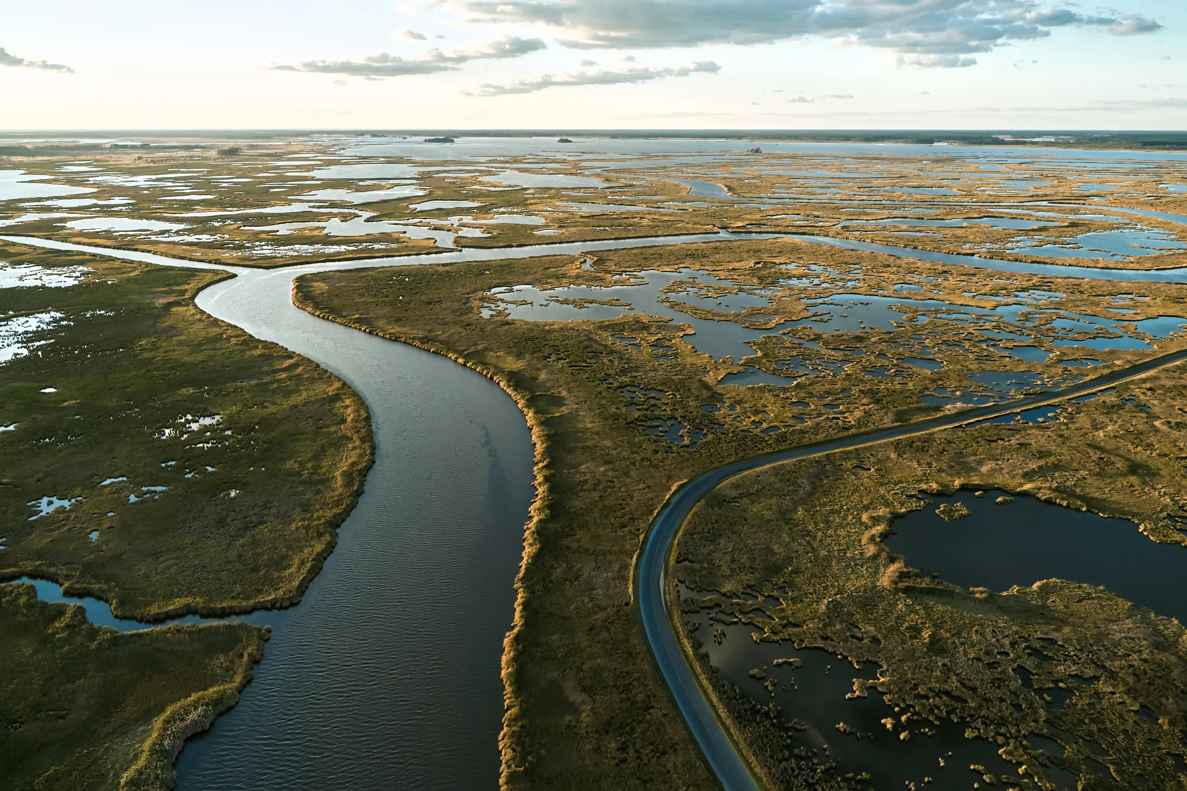 Wetlands vanish at fastest rate, risking $39 trillion loss by 2050, report says