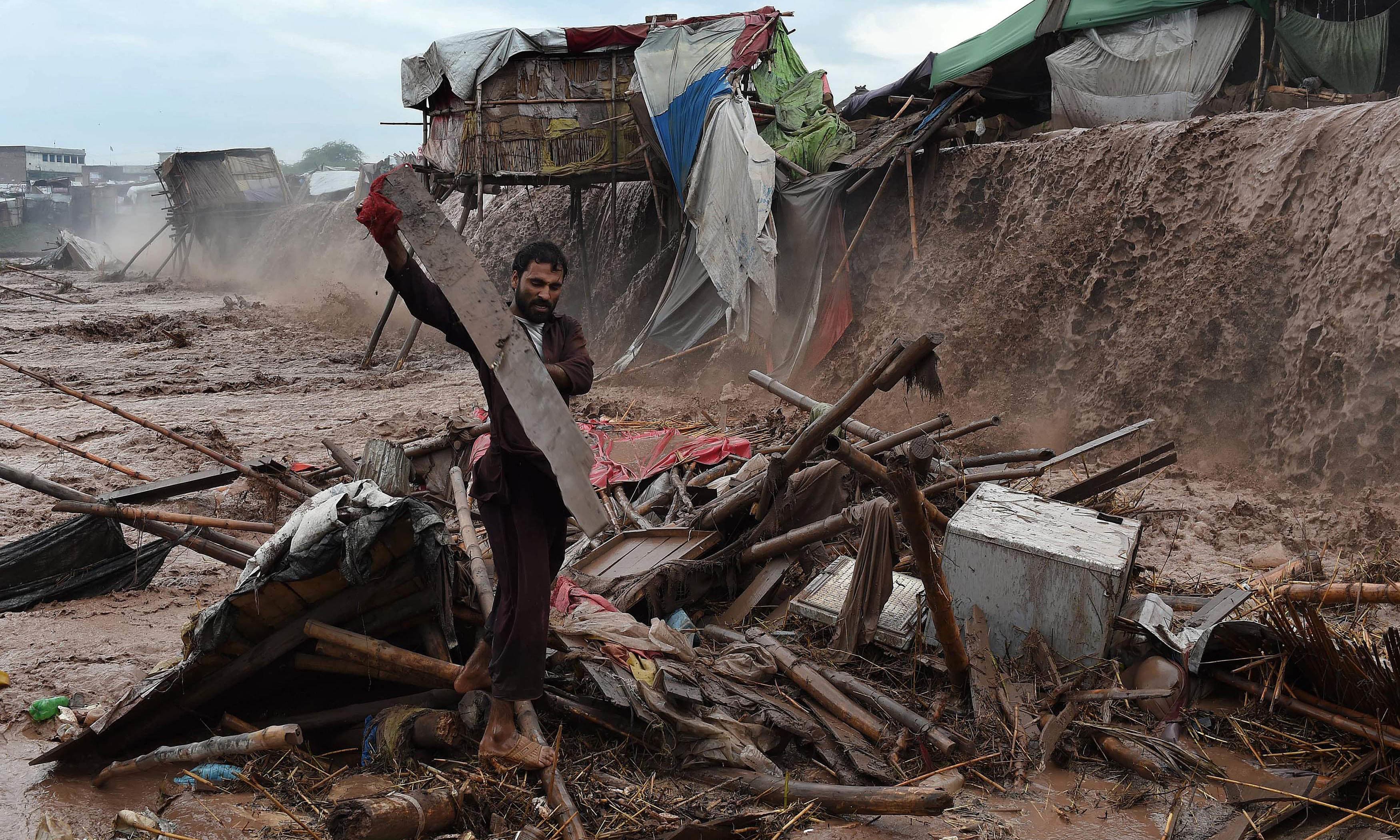 Climate change, rains devastate 31,596 acres of farmland in KP