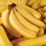 Pakistan banana output hits record 317,000 tonnes in 2024-25 Pakistan banana output hits record 317,000 tonnes in 2024-25