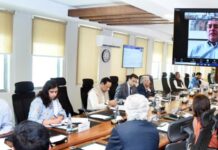 ECC approves Rs30bn grant and Rs9bn EV subsidy program