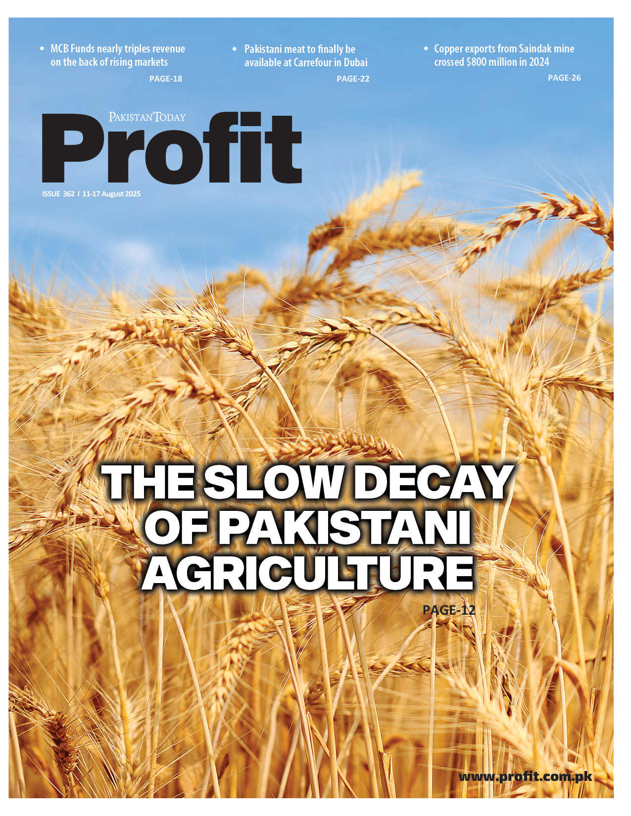 Profit E-Magazine Issue 362