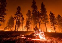 Global natural disaster losses hit $135 billion in first half of 2025