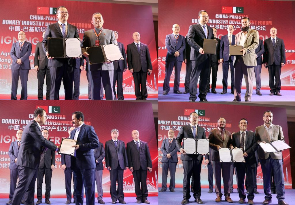 China-Pakistan Donkey Industry Development Forum opens in Islamabad