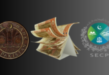 Senate panel pushes for review of SBP, SECP salary fixing laws amid concerns over conflicts of interest