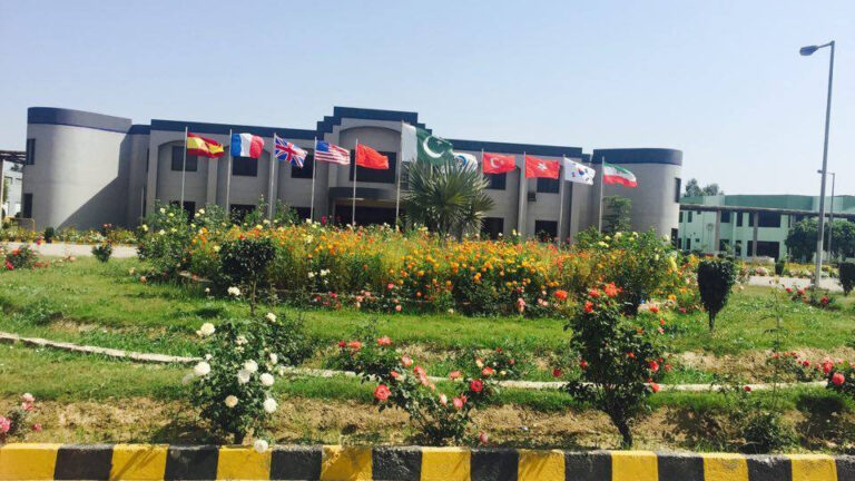 Citi Pharma dips its toes into veterinary medicine