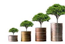 What’s all the fuss about Green Financing?