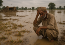 Punjab floods washed away thousands of villages and farms; now the devastation threatens Pakistan’s economy