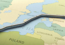 Europe could quit Russian gas within a year, US energy chief claimsÂ