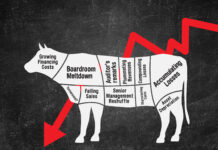 The fall of Al Shaheer