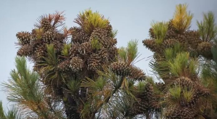 1692894750971-1024x564