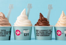 Can fro-yo make a comeback?