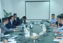 Chinese tiles industry delegation meets SAPM to discuss FBR monitoring policy