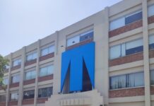 Lithium batteries and shaving cream: inside Treet Corp’s latest diversification