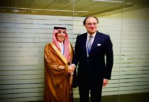 Aurangzeb briefs Saudi counterpart on PIA, airport privatisation to attract investment