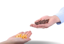 Pakistan revises barter trade mechanism with Iran, Russia, and Afghanistan