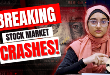 What Really Causes the Stock Market to Crash?