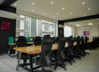 The art of thriving in a survival economy