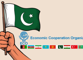 Pakistan elected to chair Economic Cooperation Organization Council of Ministers for 2026–27