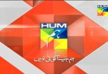 The India blockade did not damage Hum’s revenues. The BDS-driven advertising slump did