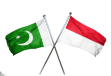 Pakistan-Indonesia trade rises to $4.2bn as both sides explore new sectors for expansion