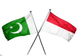 Pakistan-Indonesia trade rises to $4.2bn as both sides explore new sectors for expansion