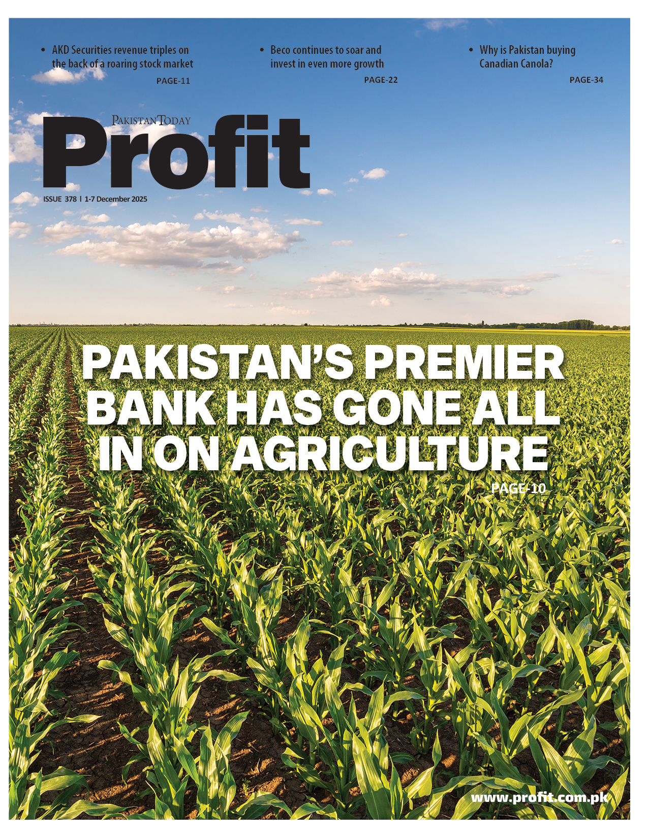 Profit E-Magazine Issue 378