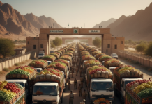 Pakistan blocks Afghan-origin fruit imports via Iran as 5,500 transit containers remain stranded