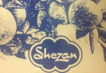 Despite tepid revenue growth, Shezan swings back to profitability