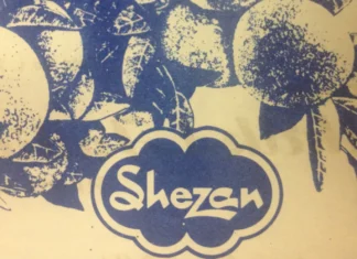Despite tepid revenue growth, Shezan swings back to profitability
