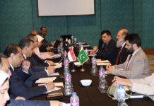 Pakistan pushes for operationalising D-8 Preferential Trade Agreement to deepen economic ties