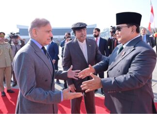 Pakistan, Indonesia sign accords on Halal trade, SMEs, education and health cooperation