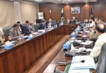 Chinese firm proposes €2 billion integrated maritime industrial complex at Port Qasim