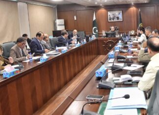 Chinese firm proposes €2 billion integrated maritime industrial complex at Port Qasim