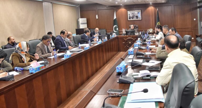 Chinese firm proposes €2 billion integrated maritime industrial complex at Port Qasim