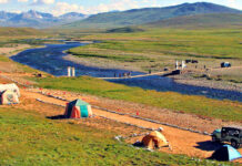GB bans seasonal hotels, commercial activity in Deosai National Park