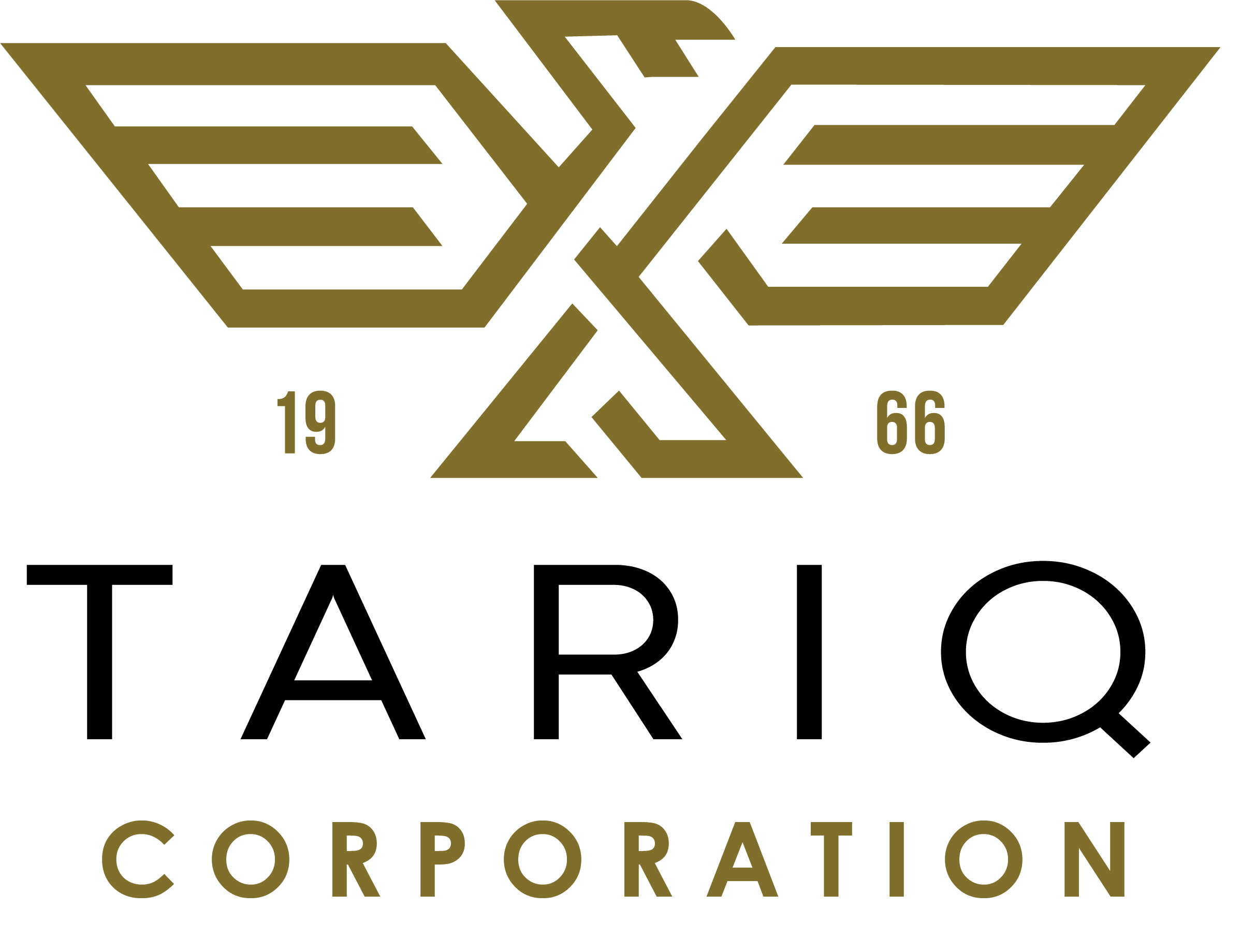 Tariq Corporation reports no dividend or bonus for FY 2025; plans increase in share capital