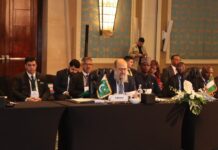 Pakistan pushes for operationalising D-8 Preferential Trade Agreement to deepen economic ties