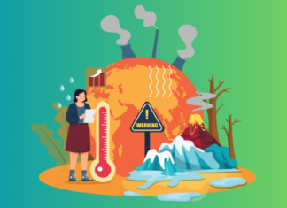 World Bank highlights coordination gaps between ministries hindering clean tech adoption in Pakistan