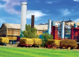 Mirpurkhas Sugar Mills to sell stakes in Cherat Cement, Cherat Packaging