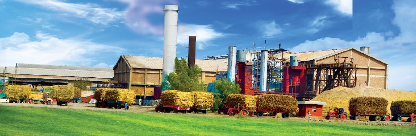 Mirpurkhas Sugar Mills to sell stakes in Cherat Cement, Cherat Packaging