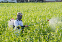 Farmers suffer massive financial losses from counterfeit, ‘imported’ pesticides, CCP report finds