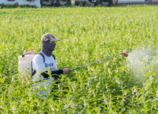 Farmers suffer massive financial losses from counterfeit, ‘imported’ pesticides, CCP report finds