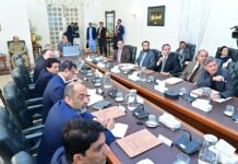 PM approves 100MW solar project for Gilgit-Baltistan, new power initiatives for Gwadar