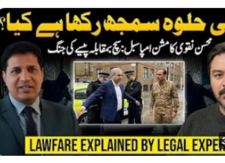 Third of federal deficit financing achievable through collecting fines by suing Pakistani political YouTubers abroad, says finance ministry