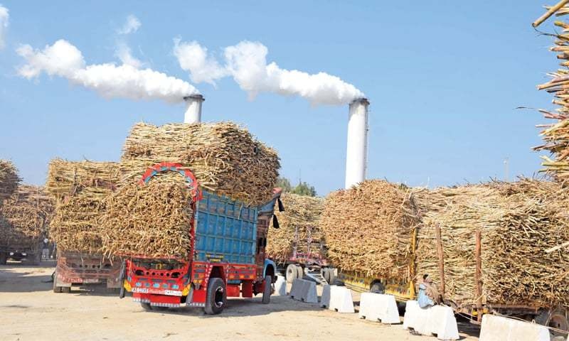 Noon Sugar Mills reports strong recovery in FY2025, posts Rs. 654 million profit