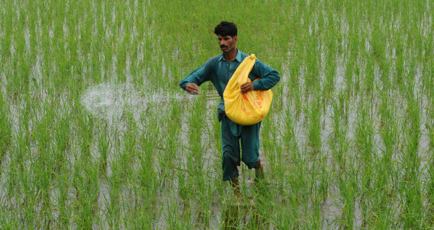 Farmers see fertiliser price surge as Iran war blocks exports, threatening losses