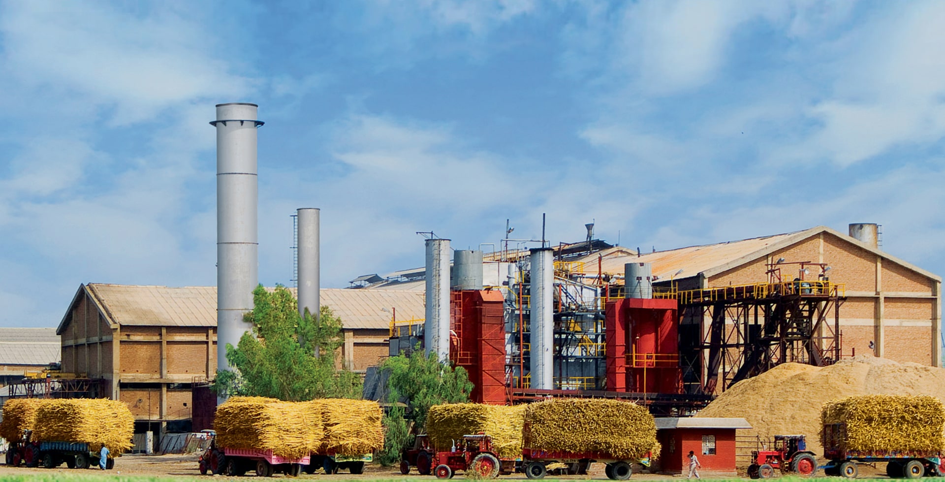 After solid 2025, revenues at Mirpurkhas Sugar Mills faces rough start to the year
