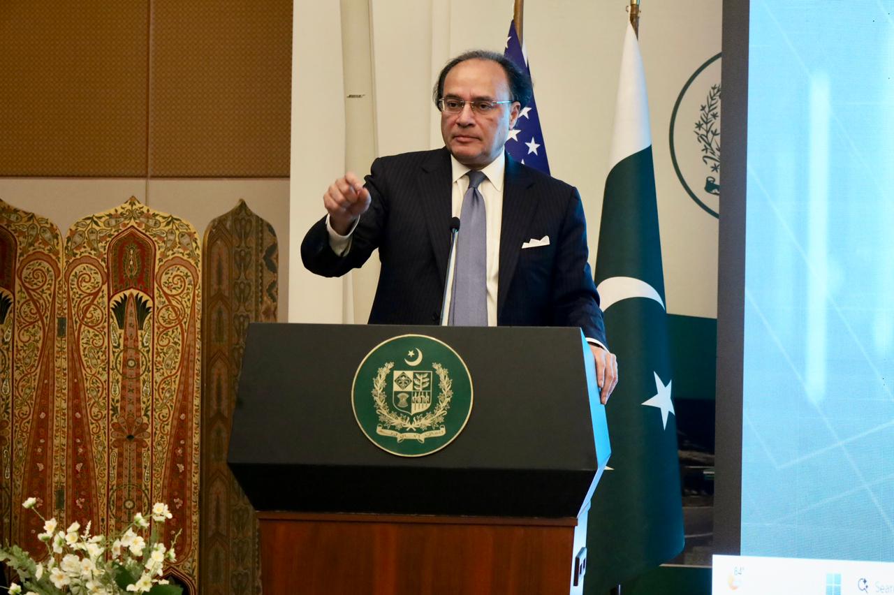 Finance minister urges diaspora investment via Roshan Digital Account